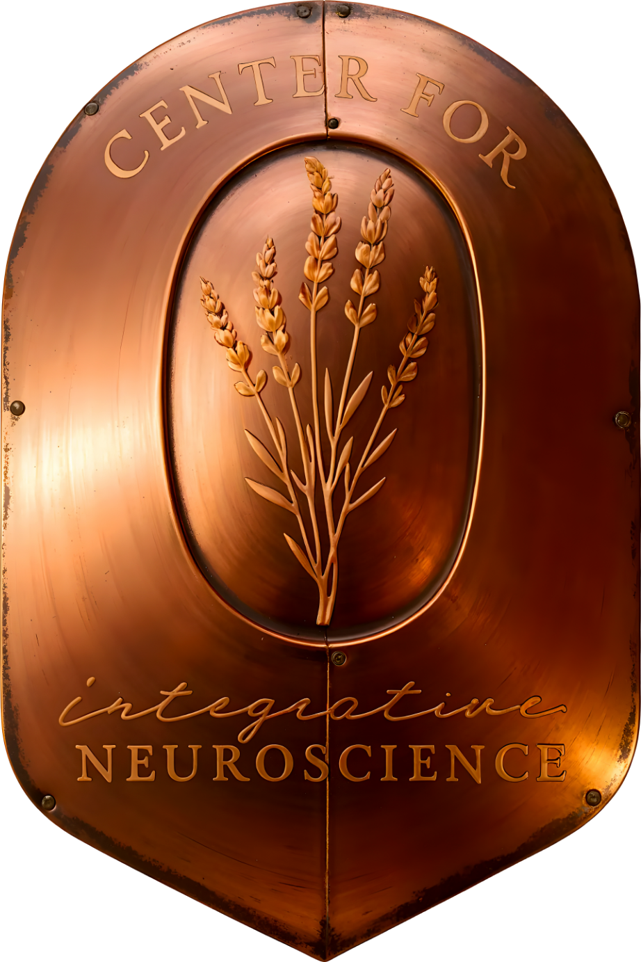 The Center for Integrative Neuroscience seal, struck in copper